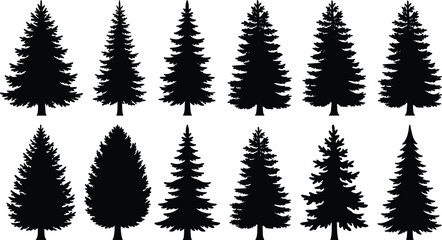 Fototapeta premium Black Evergreen Pine and Fir Tree Silhouette Collection Isolated on White Background