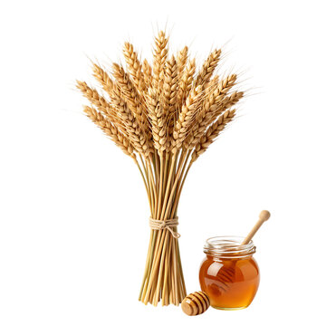 Golden wheat sheaf tied with twine, organic honey jar with wooden dipper, rustic harvest grain and natural sweetener isolated on white