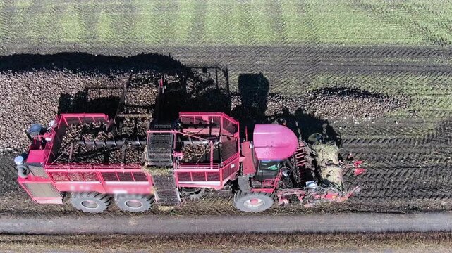 Aerial View of Sugar Beet Harvesting