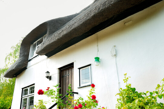 Exterior view of a classic English thatched cottage showing its netted roof. Red roses can be seen growing near the wooden front door.