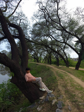 Relaxing Moment by a Tree in Nature