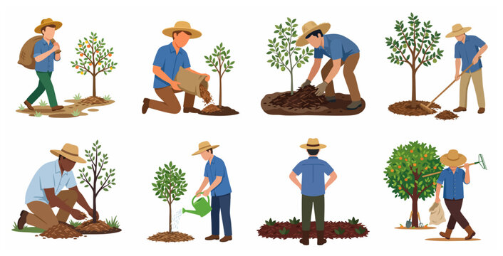Set of diverse male farmers and gardeners planting trees, mulching soil, and watering plants for sustainable agriculture and reforestation