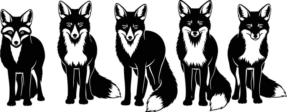 Five Black Foxes Sitting Together.