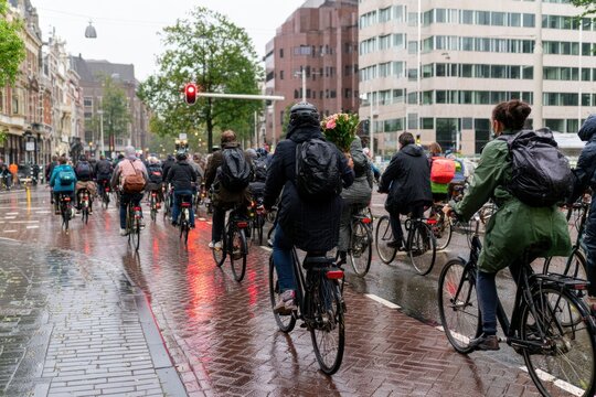 a group of people ride bicycles on a wet city street on an overcast day