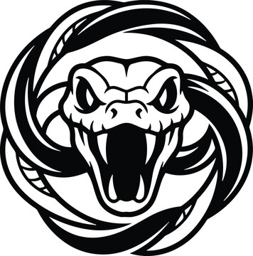 Aggressive snake head mascot vector, coiled viper serpent with fangs, black and white cobra emblem for sports team branding and apparel design