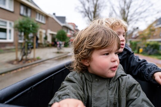 two young boys with curly hair riding in a cargo bike on a street in a residential area