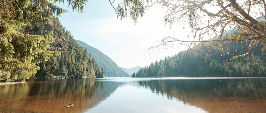 Summer lake