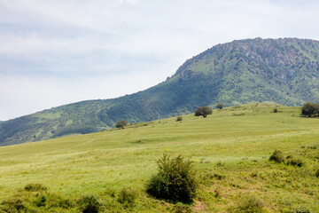 Fototapeta premium Lush green hillside under partly cloudy sky