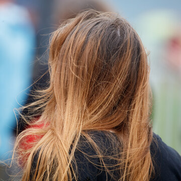 Back view of a person with long, tousled, golden-brown hair