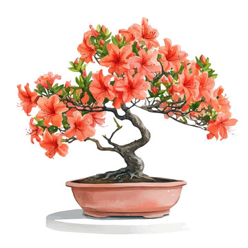 watercolor vector of Flame Azalea Bonsai, isolated on a white background.