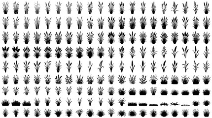Mega Black Grass Silhouette Vector Collection Wild Botanical Meadow Grass Set © MdMiraz