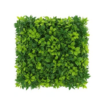 Square artificial green wall panel with realistic leaves artificial botanical