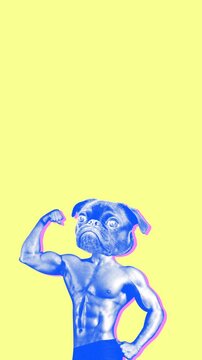 Seamless young vertical video of cartoon style dog head bodybuilder with duotono colors and halftone effect. Stop motion photo montage art collage isolated with copyspace.