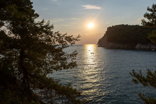 Sunset glow over tranquil coastal bay framed by pine branches, rugged headland, rocky shoreline, and rippled water, creating peaceful seascape with warm reflections and secluded cove