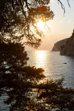 Sunset glow over tranquil coastal bay framed by pine branches, rugged headland, rocky shoreline, and rippled water, creating peaceful seascape with warm reflections and secluded cove