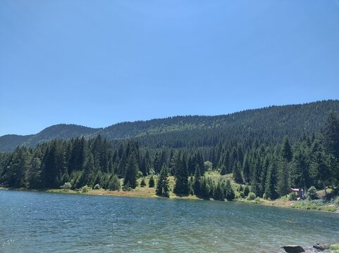 Dospat dam