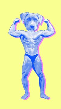 Seamless young vertical video of cartoon style dog head bodybuilder with duotono colors and halftone effect. Stop motion photo montage art collage isolated with copyspace.