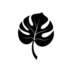 Monstera deliciosa leaf silhouette, black tropical plant foliage vector, minimalist swiss cheese plant icon isolated on white background © JH Graphics