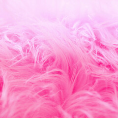 Fototapeta premium pink feathers background