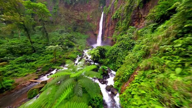 High Quality 4K Stock Video Clips for Content Creators | Adobe Stock