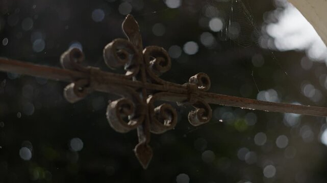 Ornate rusted iron finial on horizontal rail with curled scrollwork, flaking paint, spiderweb strands, dust particles, soft side backlight, shallow depth, muted garden detail