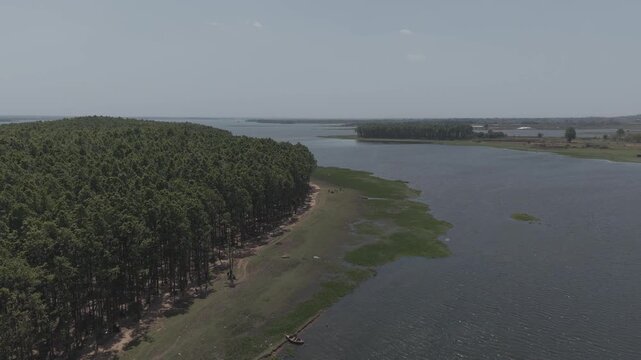 Aerial view of dense green forest next to lake, D-Log flat color profile drone footage