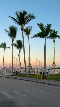 Vertical POV walk through Coconut Grove marina in Miami at sunset featuring yachts, calm waterfront, golden light and a relaxed coastal atmosphere.