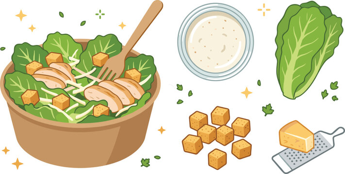 Chicken caesar salad vector illustration collection featuring a healthy meal bowl with grilled chicken breasts, romaine lettuce head, creamy dressing, crunchy croutons, and grated parmesan cheese.