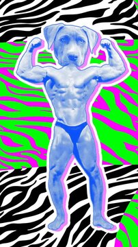 Seamless young vertical video of cartoon style dog head bodybuilder with duotono colors and halftone effect. Stop motion photo montage art collage with zebra psychedelic background.