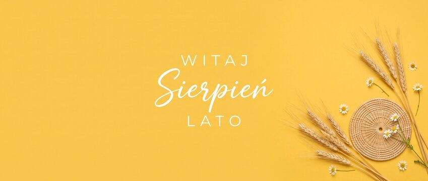Summer background yellow wheat August banner with Polish text Witaj Sierpien Lato, featuring chamomile flowers, woven rattan, copy space for seasonal harvest concept and agricultural design.