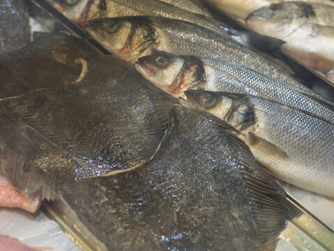 Fresh Seafood Selection: Flatfish and Fillets Display