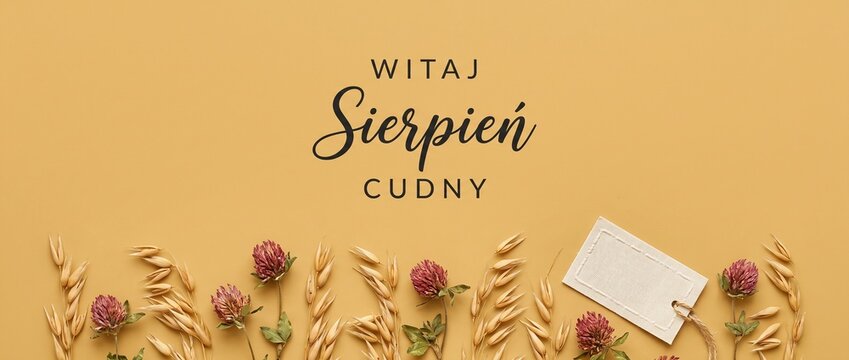 August Polish greeting floral background with dried clover and wheat on beige surface, featuring Polish text Witaj Sierpien Cudny for late summer banner, autumn harvest, and seasonal greeting card.