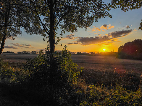 golden sunset over a peaceful countryside field framed by trees and glowing evening light