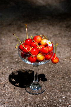 Fresh cherry harvest in elegant clear stemmed glass