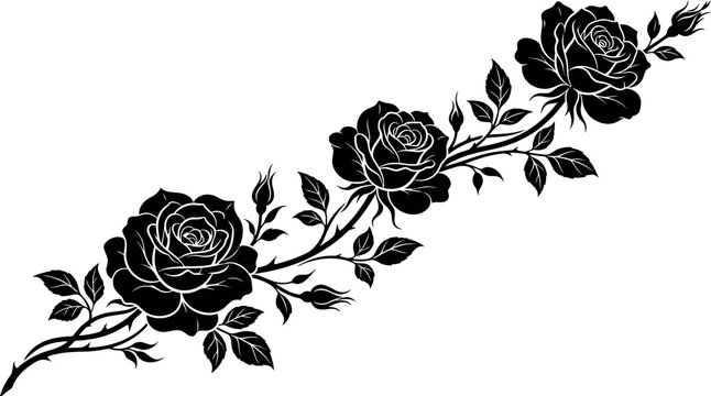 A beautiful artistic black and white illustration of a diagonal vine featuring three blooming roses and several rosebuds surrounded by elegant leaves on white background