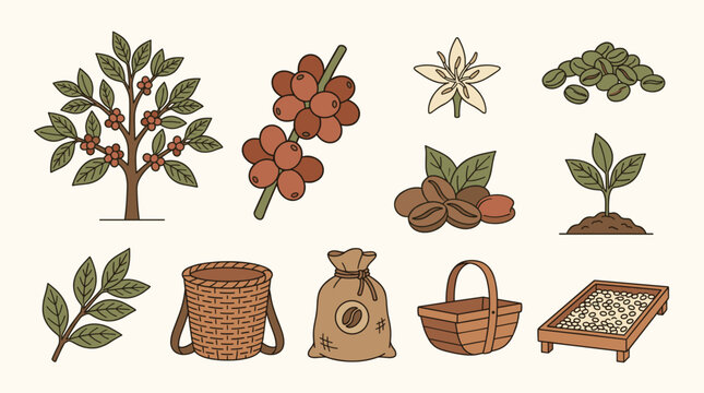 set of various coffee tree