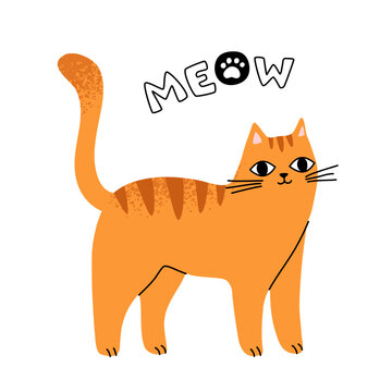Cute funny orange cat in a standing pose vector illustration. Happy pet icon or logo design element,