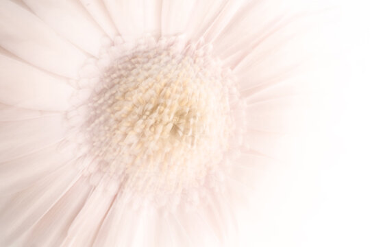 Abstract floral ICM close-up with soft pastel motion blur