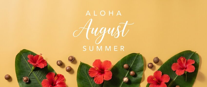 Tropical August summer banner background with red hibiscus flowers, green banana leaves, macadamia nuts, and Aloha typography text arranged flat lay for tropical holiday background design template.