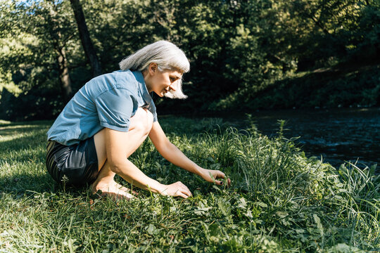Young woman picking wild plants by A calm river in forest