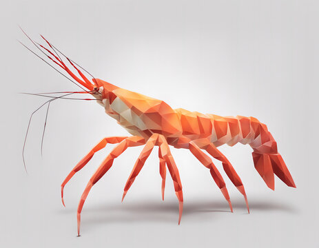 Shrimp model and illustration of triangular gnats