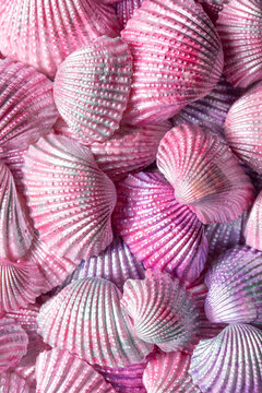 Shells painted with pink, purple and green pearlescent acrylic paint background backdrop. Home decor ideas concept.
