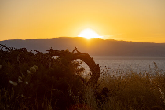 Stunning sunset view over calm sea with silhouettes