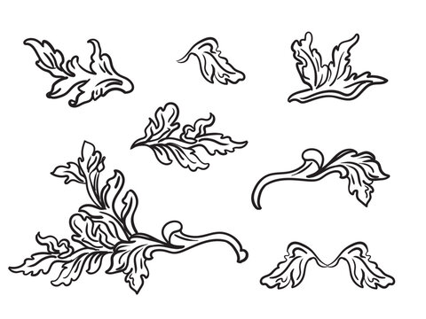 Set of engraved ornate baroque design elements illustration vector