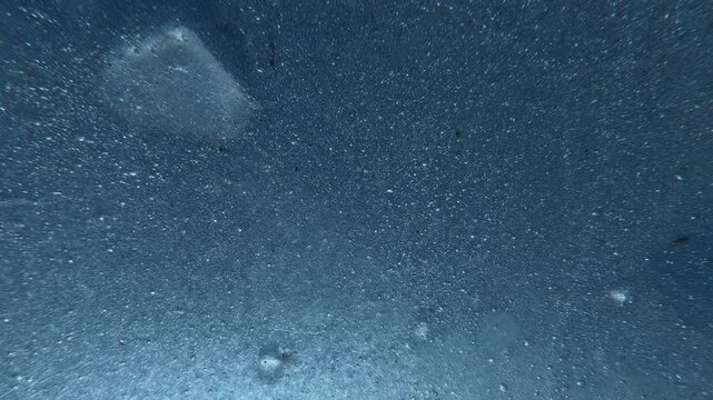 Close-up details of crystalline structure of ice with tiny air bubbles frozen inside it, which sparkling and shimmering like diamonds in bright sunlight against vibrant blue sky, backlit by sun.