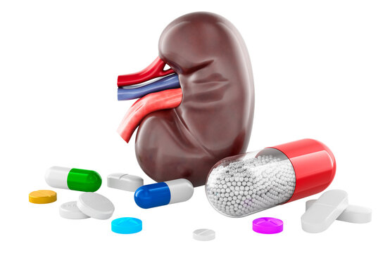 Kidney with pills and capsules, renal treatment and medication risk, concept. 3d rendering