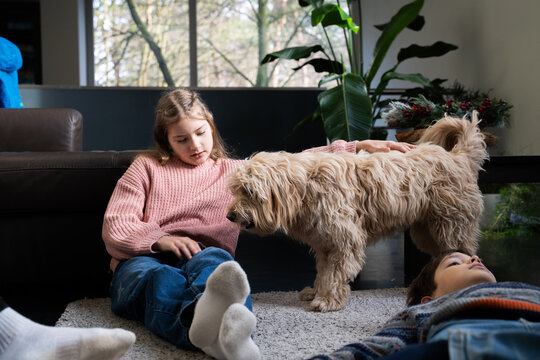 Young girl pets shaggy dog at home in cozy living room