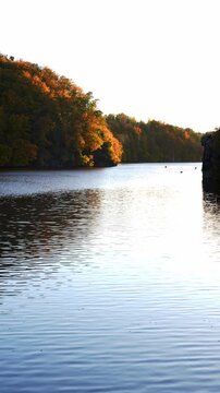 Colorful autumn forest stretching along shore of calm lake with vibrant trees reflected in still water. Golden orange and red foliage covers the woodland creating peaceful seasonal landscape. The