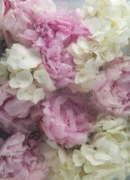 Soft floral background with water droplets on glass
