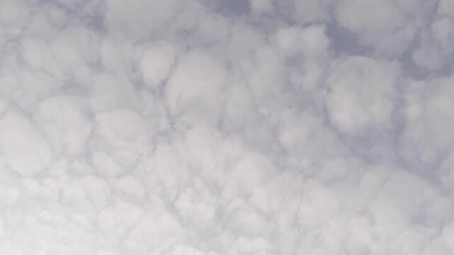 dense clouds, gray sky, textured cloudscape, overcast weather, dramatic atmosphere, stormy background, evening light, cloud cover, moody nature, approaching rain, atmospheric texture, gloomy weather, 